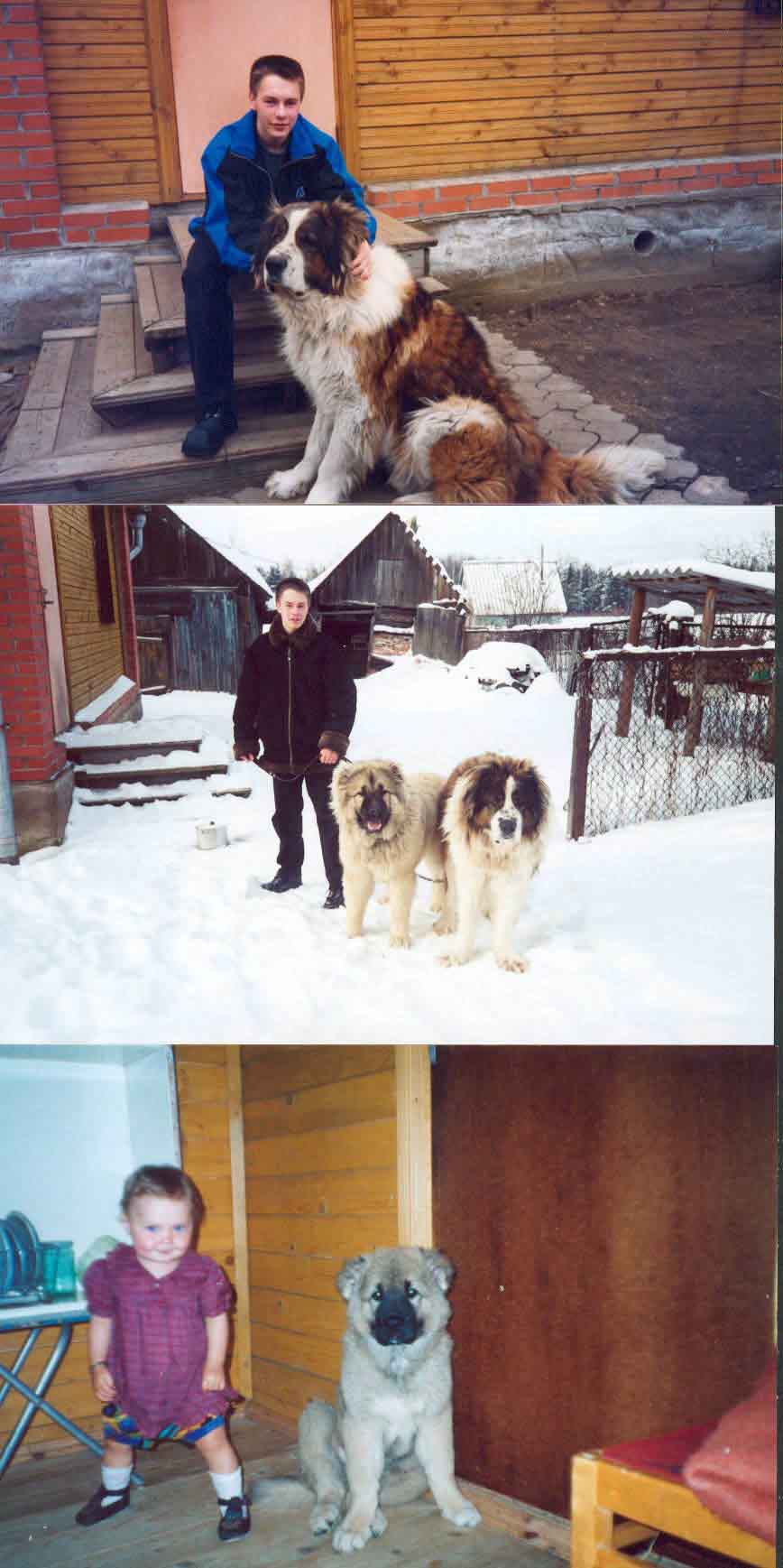 А это мое зверье